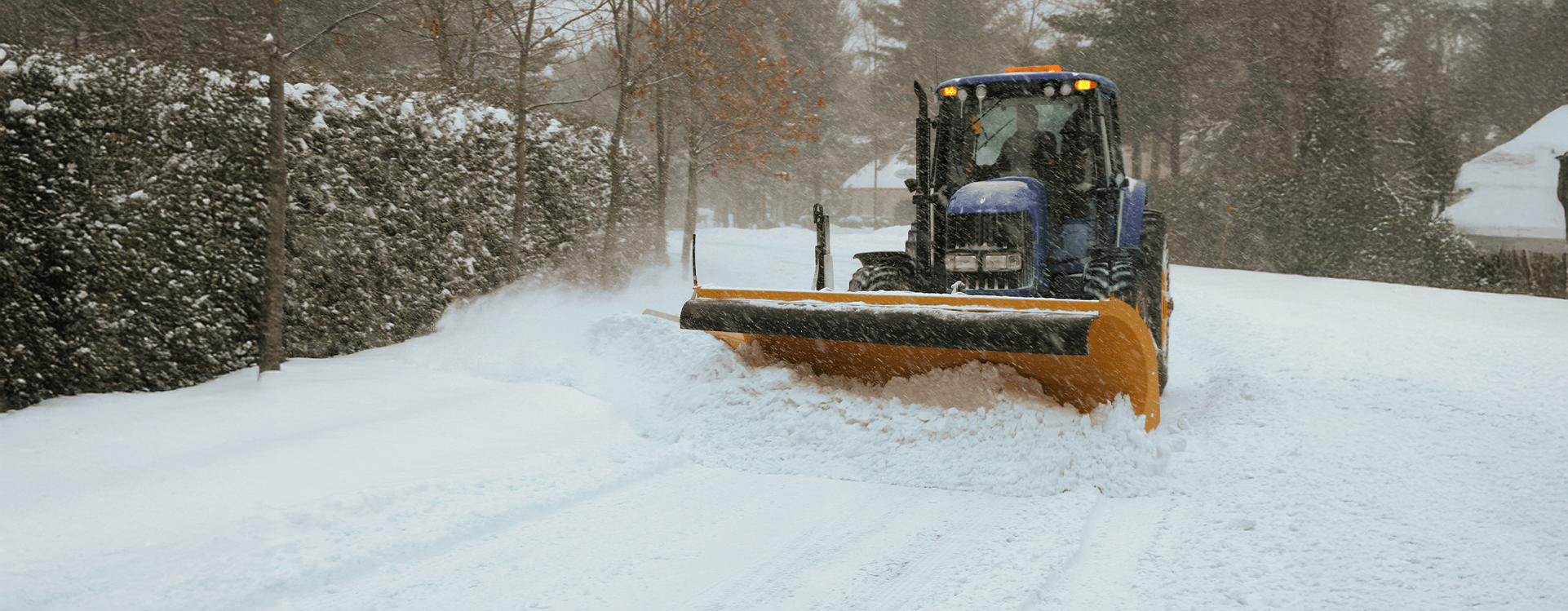 Hardscaping Services